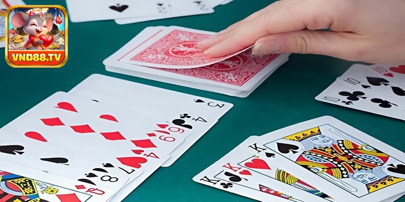 Luật chơi phỏm chi tiết từ A đến Z cho tân thủ