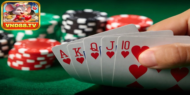 Những cách chơi Poker có tỷ lệ thắng cực cao